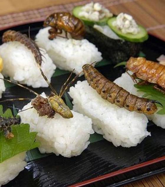 sushis-aux-insectes_16458_w560