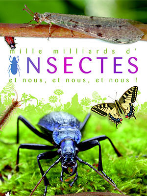 mille milliard d'insectes