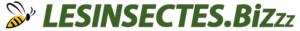 logo insectes biz