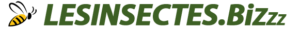 logo insectes biz