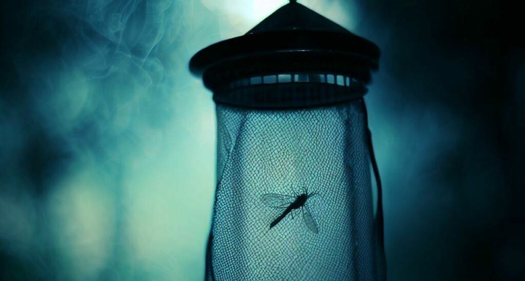 piège à moustiques