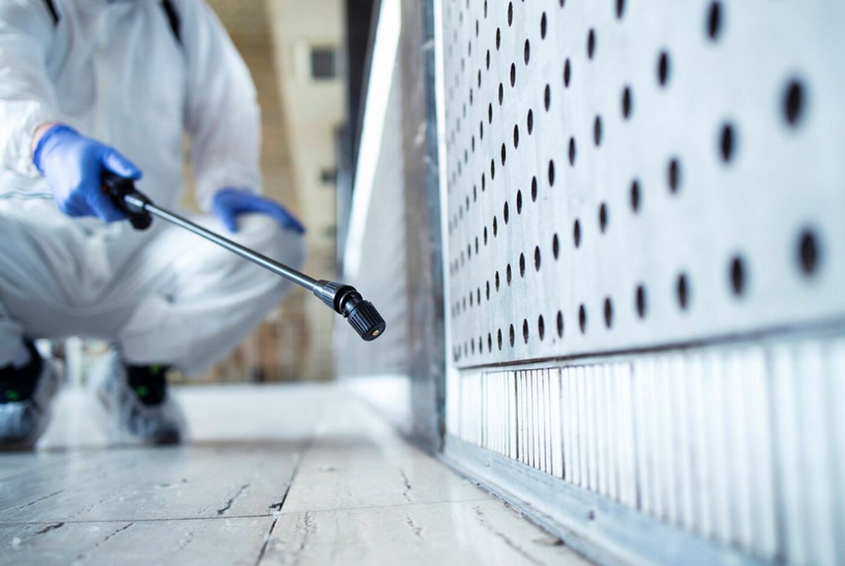 Punaise de lit Marseille Traitement